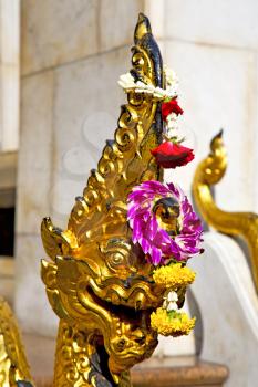   in the temple bangkok asia   thailand abstract cross        step     wat  palaces   
