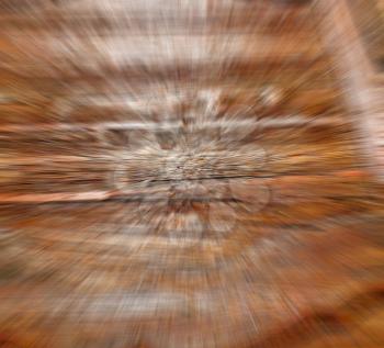 abstract texture of a   brown  antique wooden     old door 