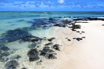 ile du cerfs seaweed in indian ocean mauritius mountain   sand isle  sky and rock