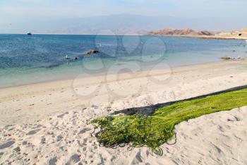 near sandy beach sky      and mountain in oman arabic sea  