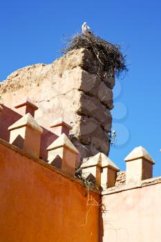 old ruin in    brown construction  africa         morocco and sky  near the tower