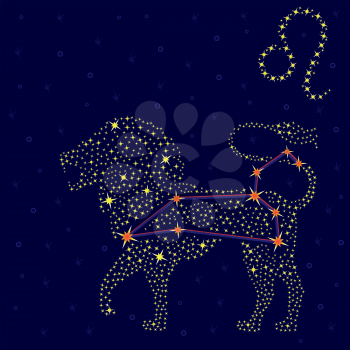 Zodiac sign Leo on a background of the starry sky with the scheme of stars in the constellation, vector illustration