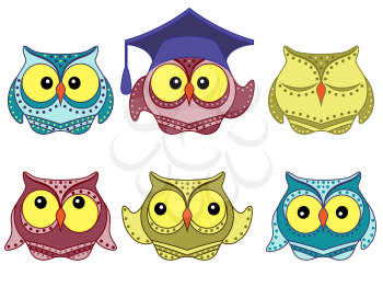 Set of six amusing colorful vector owls isolated on the white background