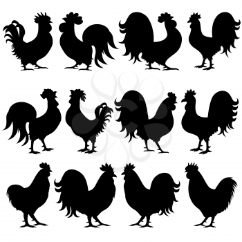 Set of twelve various amusing rooster black vector silhouettes isolated on the white background