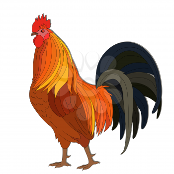 Arrogant Red Rooster with dark tail, vector illustrations isolated on the white background