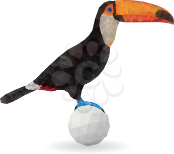 Cute Toucan Sitting on a Ball. Vector Illustration on Low Poly Style