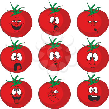 Royalty Free Clipart Image of a Tomato Set