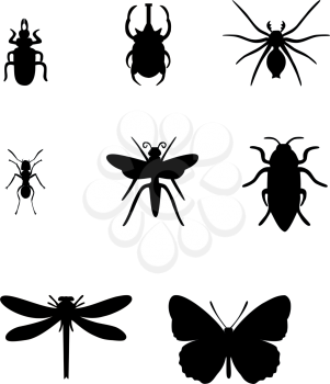 Insect set in black  01