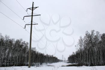 Power lines in winter woods 30101