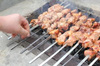 Meat porkis fried on the grill skewers at the coals 20461