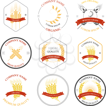 Ears of wheat and rye set labels, badges and design elements. Vector illustration