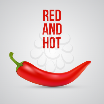 Red hot chili pepper isolated. Vector illustration