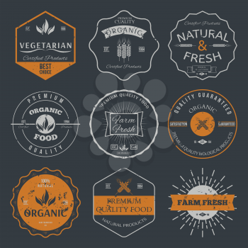 Set of vintage style elements for labels and badges for organic food and drink, on the nature background vector