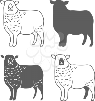 Domestic Animal Sheep Design Elements Vector Illustration 