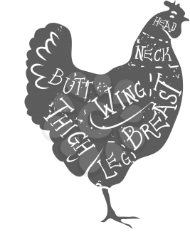Vintage typographic chicken butcher cuts diagram Vector illustration