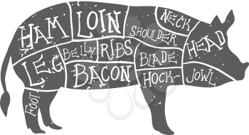 American cuts of pork, vintage typographic hand-drawn butcher cuts scheme