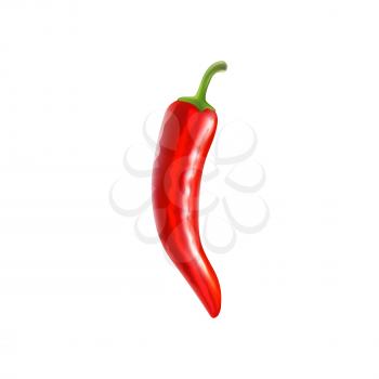 Red Pepper Isolated on White Background Vector Illustration
