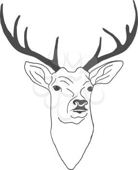 Hand drawn vintage label with textured deer. Vector illustration