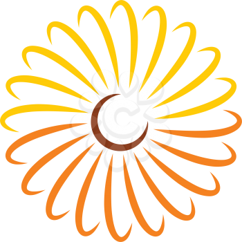 marigold flower icon vector symbol 