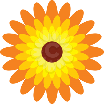 marigold flower logo icon vector 