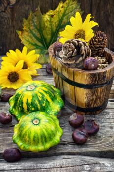 Autumn harvest squash with chestnuts and pine cones on wooden table