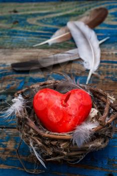 spring bird nest as symbol of Valentine's day