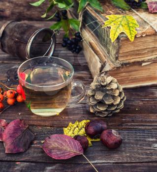 Cup of herbal tea amid the bundles of old books in the autumn style
