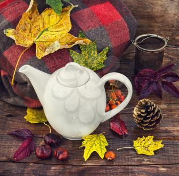 White teapot on background of warm blankets and fallen leaves