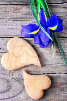 Two symbolic wooden heart on background of fresh flowers