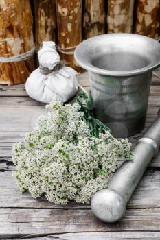 Bundle of healing herbs on the background of the mortar and pestle