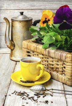 Yellow porcelain cup with tea and basket of decorative Pansy
