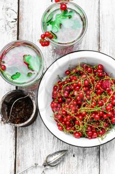 Summer tea with berries of red currant in glass