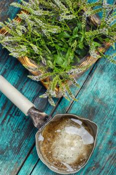 Tub with flowering medicinal mint on wooden background and pitcher of water
