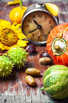 Autumn decorative pumpkin,chestnuts and retro alarm clock