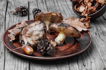 Plate collected in the forest boletus mushrooms on a wooden background