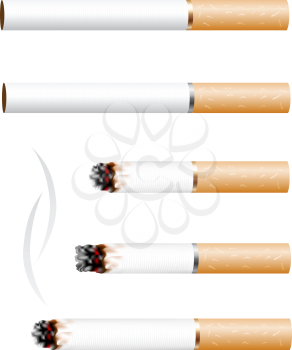 The cigarette and smoke stub isolated on white background