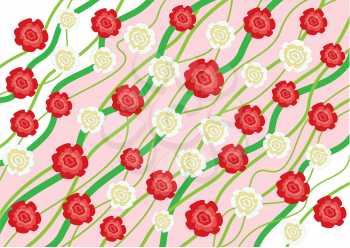 The flowers red and white roses background