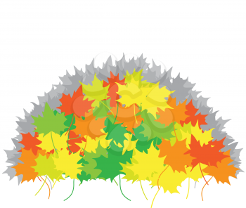 Heap from maple leaves on the white background