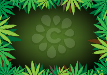 The green hemp, cannabis leaf dark framework background