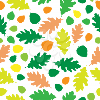 Beautiful autumn green, orange and yellow leaves on the white background