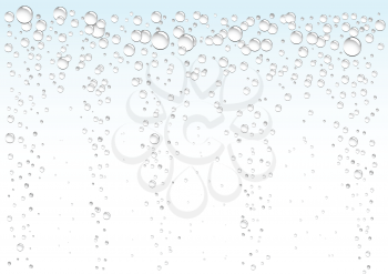 Water drops on white and blue background