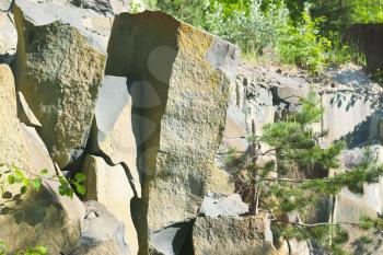 Basalt columns landscape rock background and plants