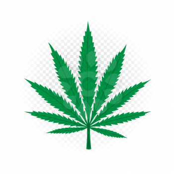 Cannabis sign on white transparent background. Hemp plant leaf icon. Marijuana symbol