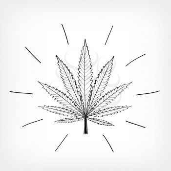 Drawing cannabis sign on white transparent background. Hemp plant leaf icon. Marijuana symbol