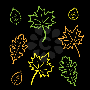 Autumn outline leaves set on black background. Season tree leaf collection. Maple oak birch foliage on dark backdrop