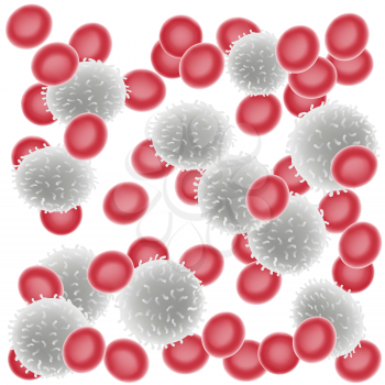 Coronavirus 2019-nCoV in blood illustration on white background. Virus microbe infection organism under the microscope