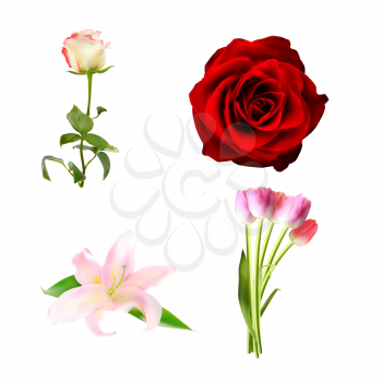 Realistic Flower Set High Quality Vector Illustration EPS10