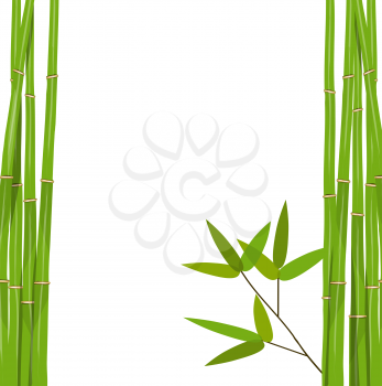 Colorful Stems and Bamboo Leaves. Vector Illustration. EPS10