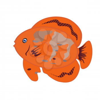 Orange Fish Isolated on White Background. Vector Illustration.