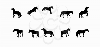 Horse Runs, Hops, Gallops Isolated on White Background. EPS10